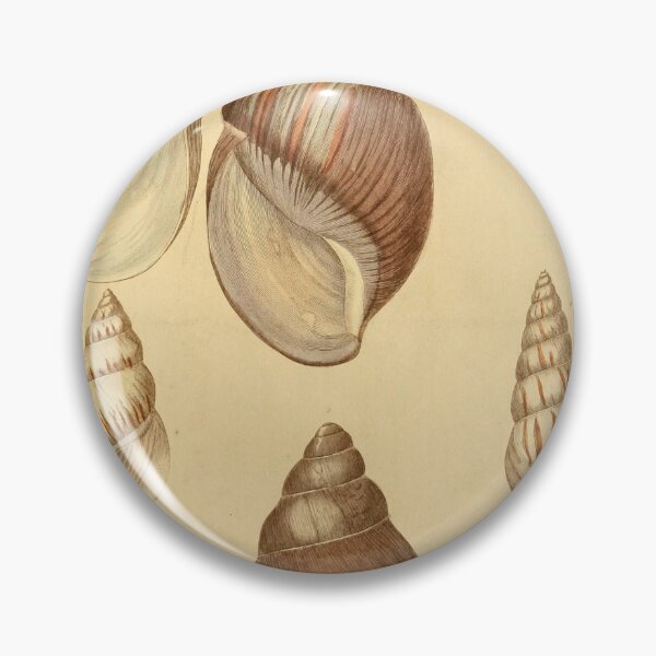 Item preview, Vintage shell, conch collage digital print designed and sold by dcrc.