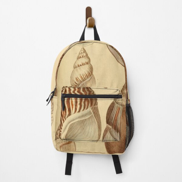 Item preview, Vintage shell, conch collage digital print designed and sold by dcrc.