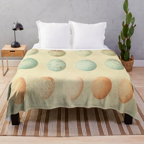 Item preview, Vintage bird egg collage digital print designed and sold by dcrc.