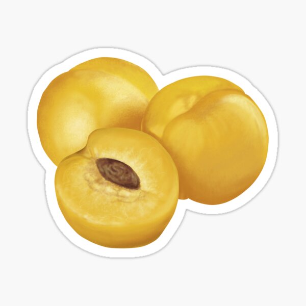 Nectarine Sticker