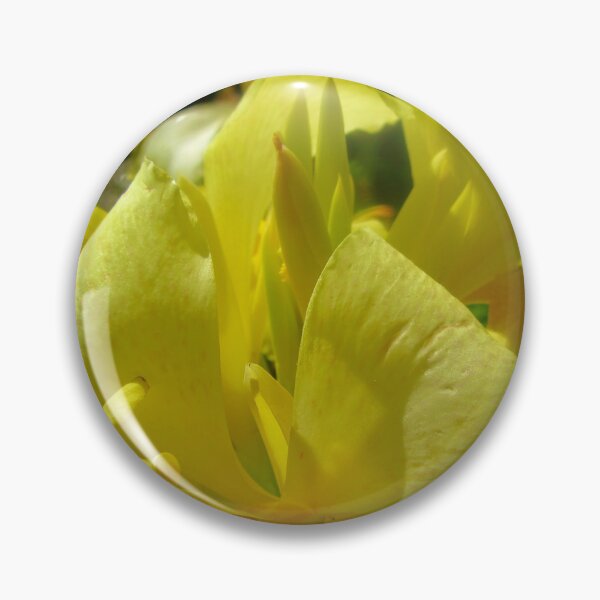 Item preview, Yellow Calla Lily designed and sold by Shulie1.