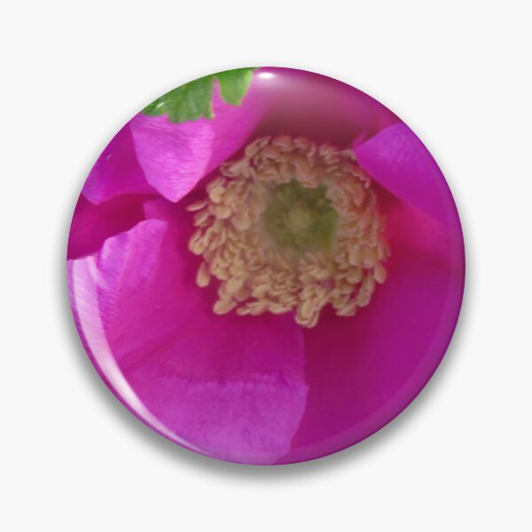 Item preview, Pink Wild rose designed and sold by Shulie1.