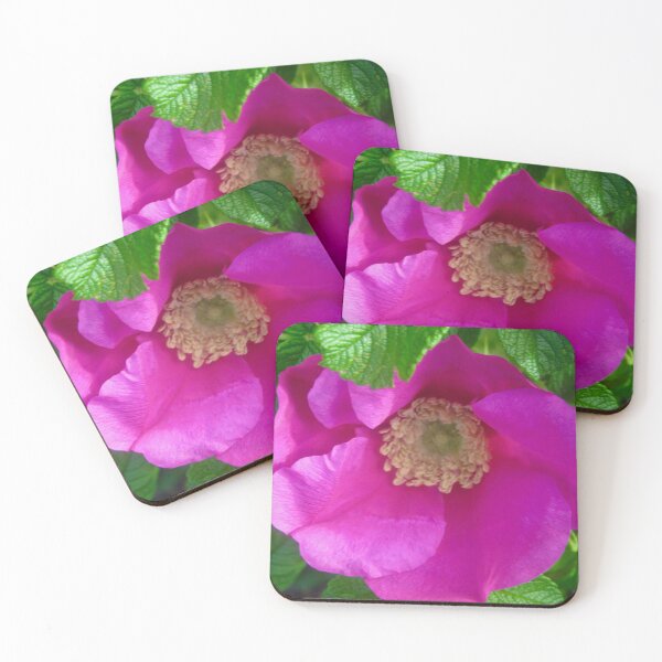 Item preview, Pink Wild rose designed and sold by Shulie1.