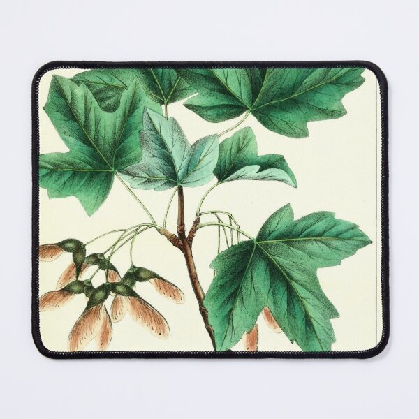 Item preview, Vintage Maple Leaf collage digital print designed and sold by dcrc.