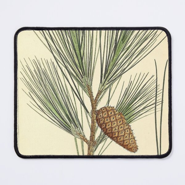Item preview, Vintage pinecone digital print designed and sold by dcrc.