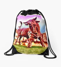 Stier Amersfoort Drawstring Bag