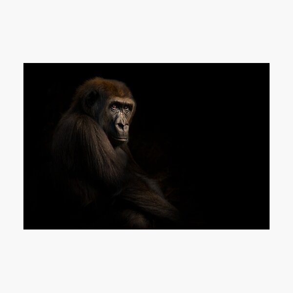 Darkness Photographic Print