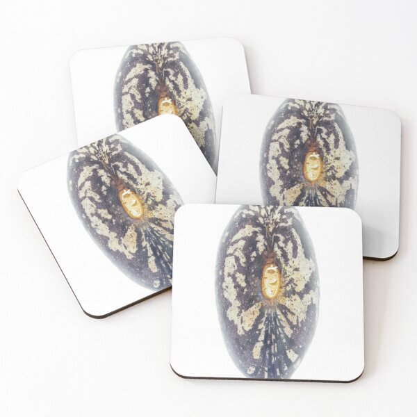Item preview, Garden bean seed designed and sold by SDym Photography.