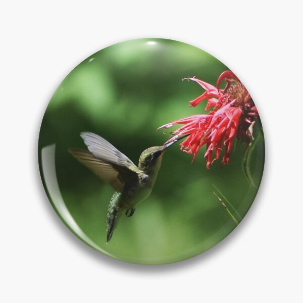 Item preview, Hummingbird designed and sold by Becky Laine.