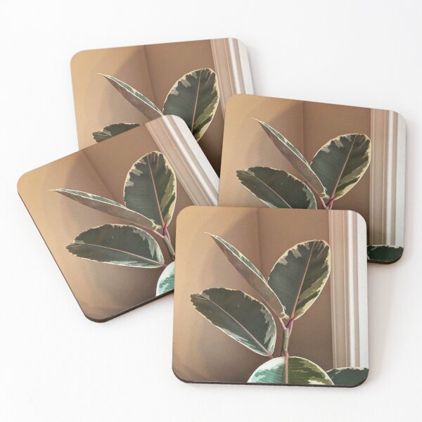 Item preview, Ficus Tineke  designed and sold by trenchbalence.