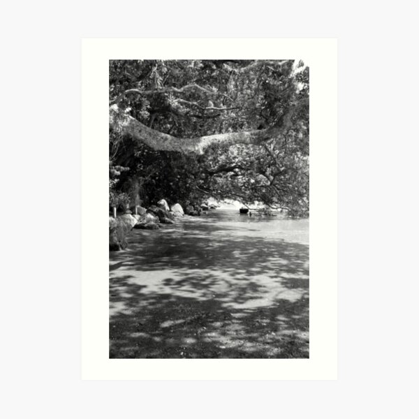 In peace I walk Art Print
