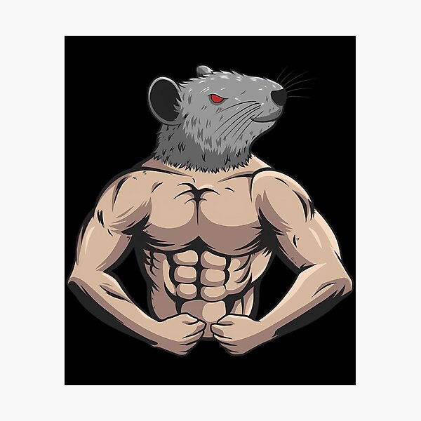 Gym rat Sticker for Sale by gabster69