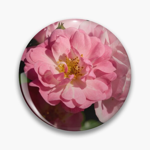 Item preview, Sweet delights, Rosegarden series designed and sold by Jouko Lehto Photography.