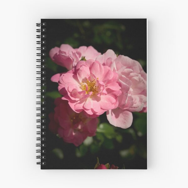 Item preview, Sweet delights, Rosegarden series designed and sold by Jouko Lehto Photography.