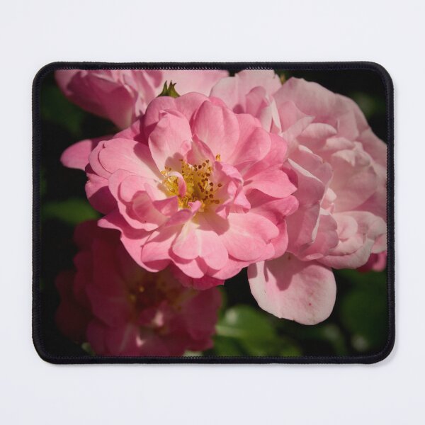 Item preview, Sweet delights, Rosegarden series designed and sold by Jouko Lehto Photography.