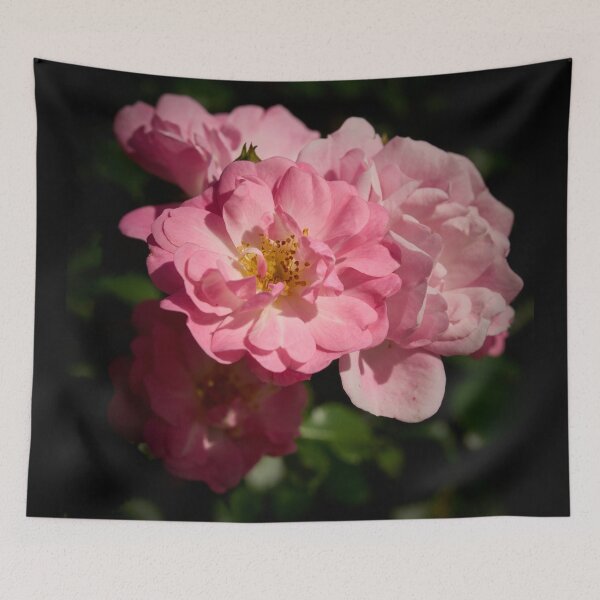 Item preview, Sweet delights, Rosegarden series designed and sold by Jouko Lehto Photography.