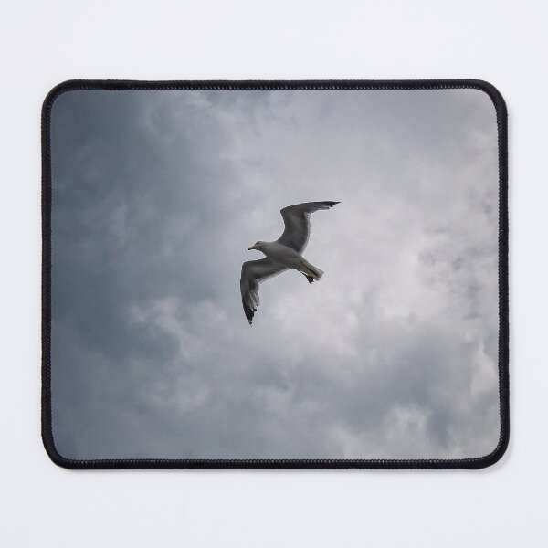 Item preview, Seagull in flight designed and sold by psychoshadow.