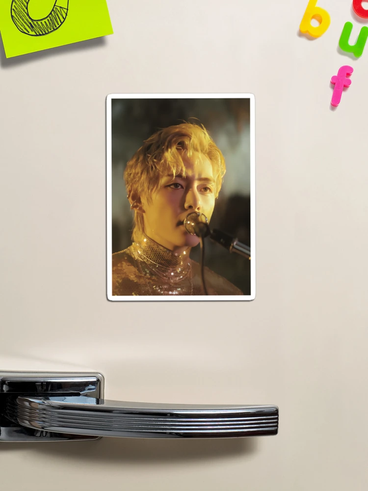 BTS V テテ LAYOVER マグネットMagnet Set(L) (S) BTS V - LAYOVER Official MD