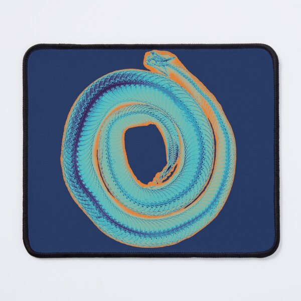 Item preview, Spooky Rattlesnake Skeleton - Caribbean designed and sold by DreamingBeetle.