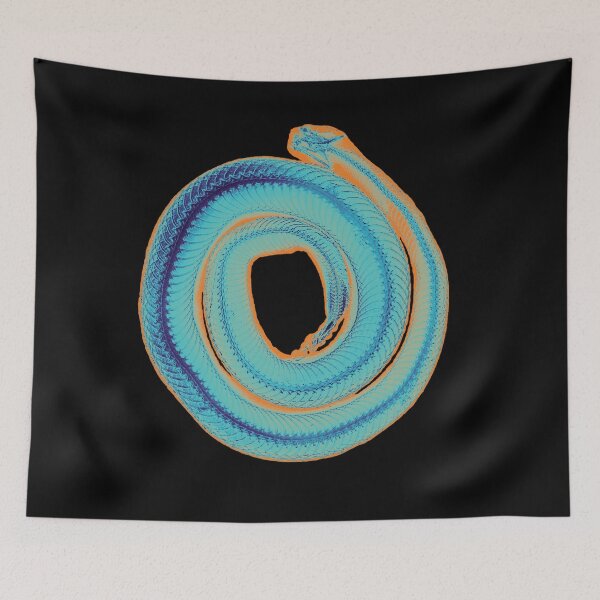 Item preview, Spooky Rattlesnake Skeleton - Caribbean designed and sold by DreamingBeetle.