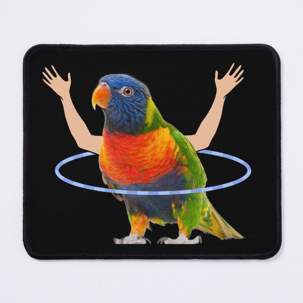 Item preview, Hula Hoop Parrot designed and sold by GlunmanStore.