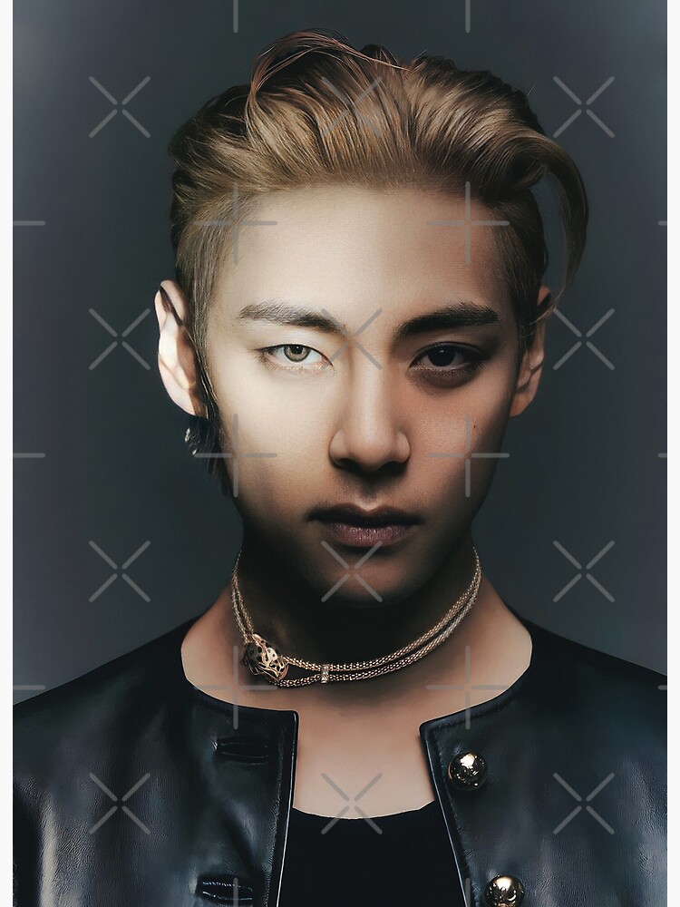 Bts v Kim Taehyung layover
