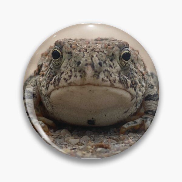 Item preview, Toad designed and sold by LifeSpice.