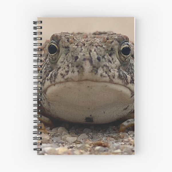 Item preview, Toad designed and sold by LifeSpice.