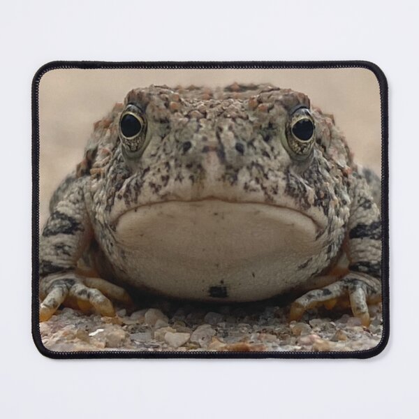 Item preview, Toad designed and sold by LifeSpice.