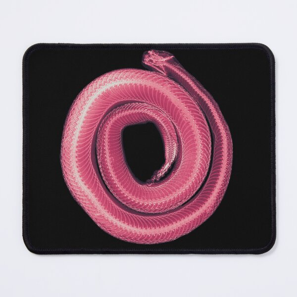 Item preview, Spooky Rattlesnake Skeleton - strawberry designed and sold by DreamingBeetle.
