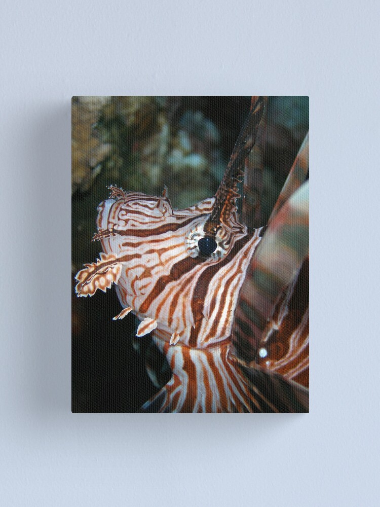 Alternate view of Volitans Canvas Print