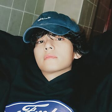 Bts v Kim Taehyung layover