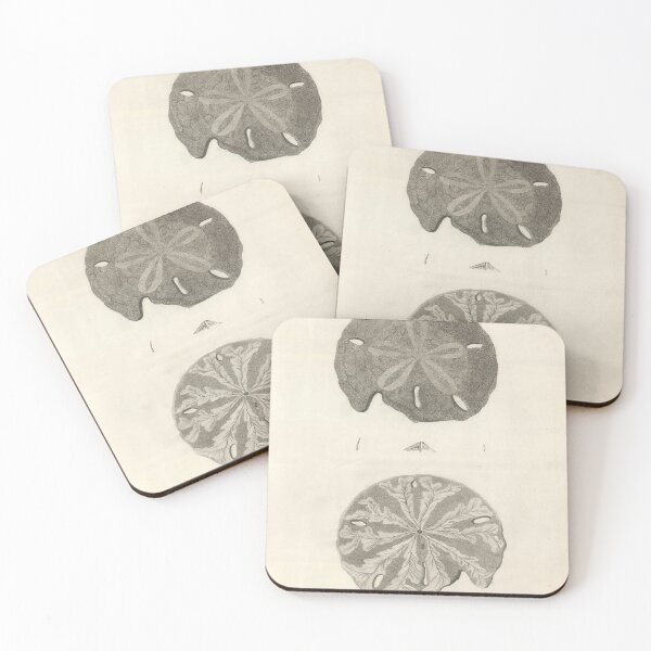 Item preview, Vintage Sand Dollar Illustrative Diagram (1799) designed and sold by BravuraMedia.
