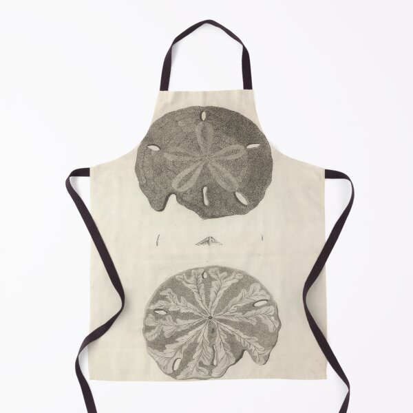 Item preview, Vintage Sand Dollar Illustrative Diagram (1799) designed and sold by BravuraMedia.