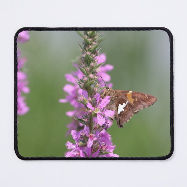 Item preview, Silver Spotted Skipper designed and sold by Anita Oakley.