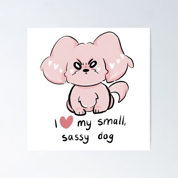 I love my small, sassy dog