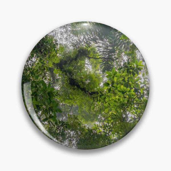 Item preview, Looking Up at Green Leaves Everywhere designed and sold by SafariByMarisa.