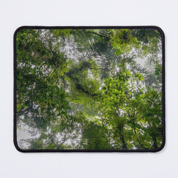 Item preview, Looking Up at Green Leaves Everywhere designed and sold by SafariByMarisa.