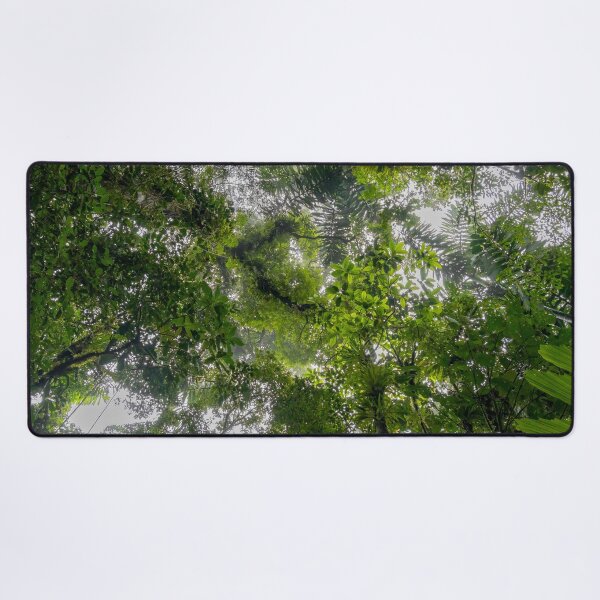 Item preview, Looking Up at Green Leaves Everywhere designed and sold by SafariByMarisa.