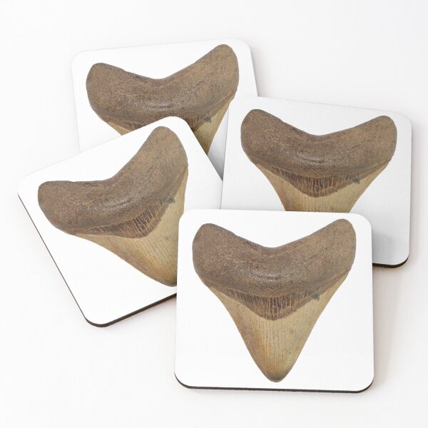 Item preview, Megalodon Shark Tooth - Otodus megalodon designed and sold by OrganicOasisArt.