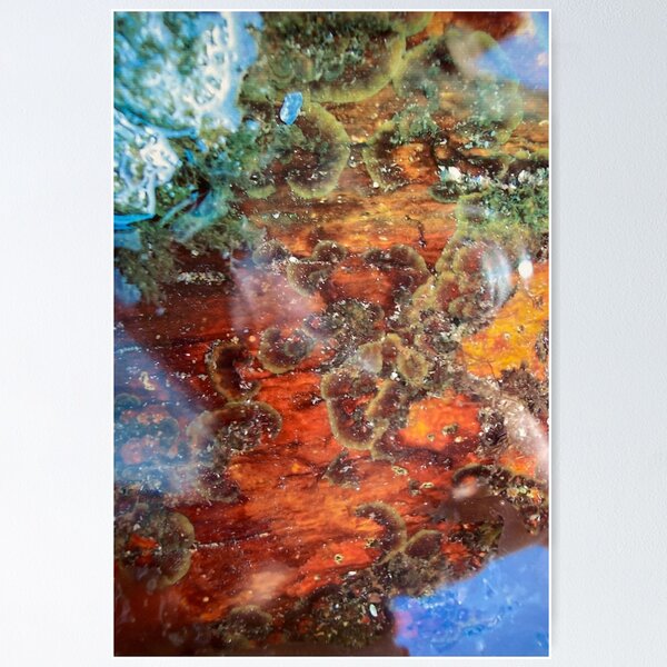 Item preview, Rockpool. Irish Coast. Vivid and beautiful  designed and sold by Cefercom.
