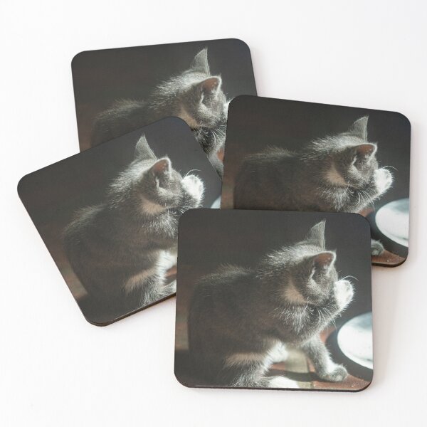 Item preview, Sweet Kitten Cleans His Face After A Meal designed and sold by DEC02.