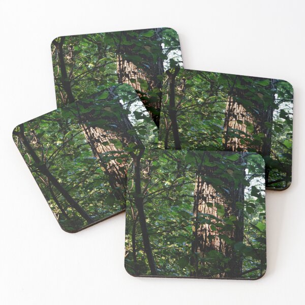 Item preview, Forest Trees designed and sold by ZachCaraway.