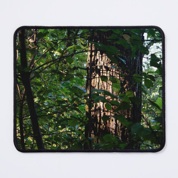 Item preview, Forest Trees designed and sold by ZachCaraway.