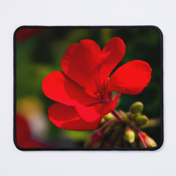 Item preview, Red Flower designed and sold by ZachCaraway.