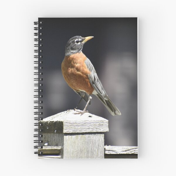 Item preview, Robin on a Fence Post designed and sold by Kathleen Brant.