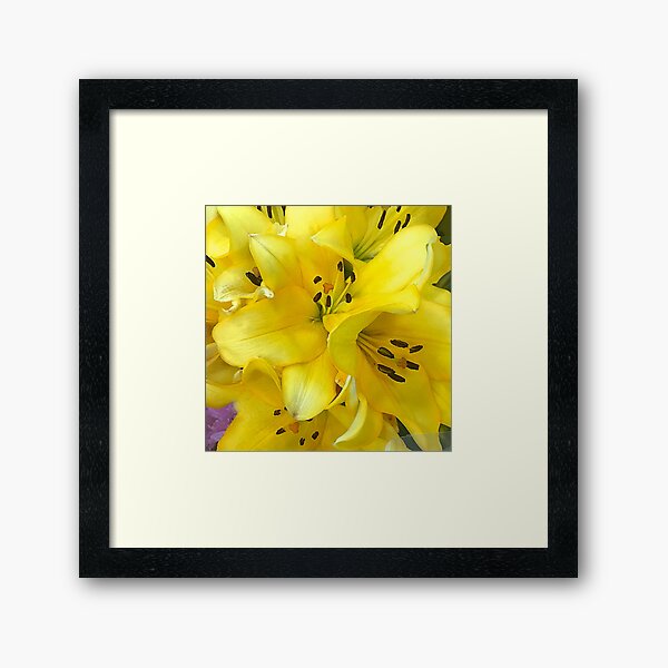 Item preview, Soft Sunshine Yellow Stargazer Lilies Close-Up designed and sold by DEC02.