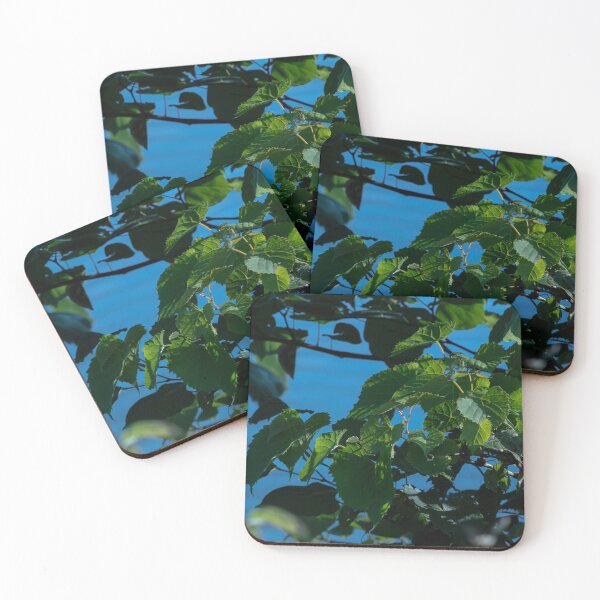 Item preview, Leaf Aquatica designed and sold by ZachCaraway.