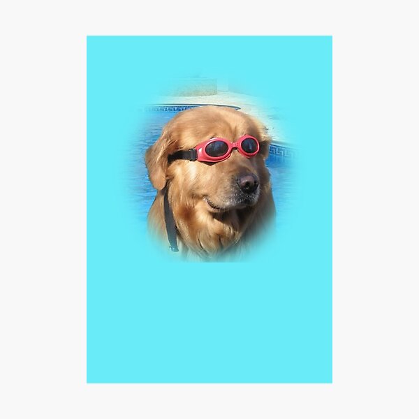 Artikelvorschau, Poolside Pup Vibes: Chillen wie ein Hundeboss entworfen und verkauft von Brownpants.
