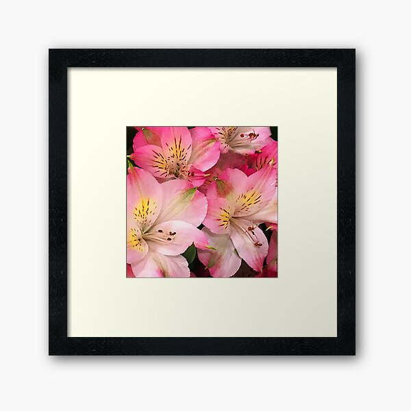 Item preview, Pink Stargazer Lilies Elegant Fairy Tale Close-Up designed and sold by DEC02.